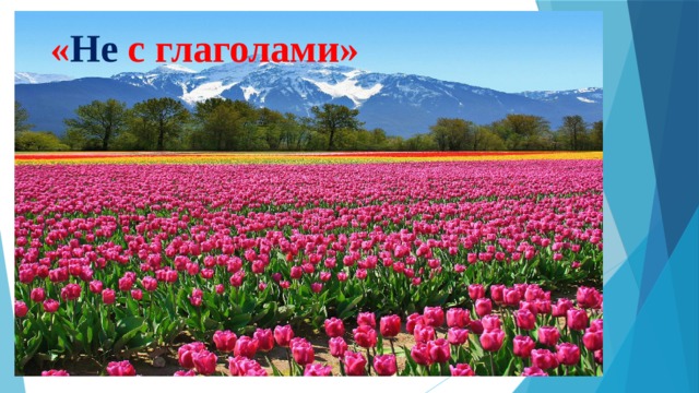 « Не с глаголами» 