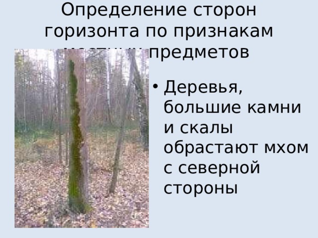 Определение сторон горизонта по признакам местных предметов Деревья, большие камни и скалы обрастают мхом с северной стороны 