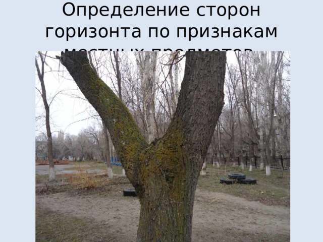 Определение сторон горизонта по признакам местных предметов 