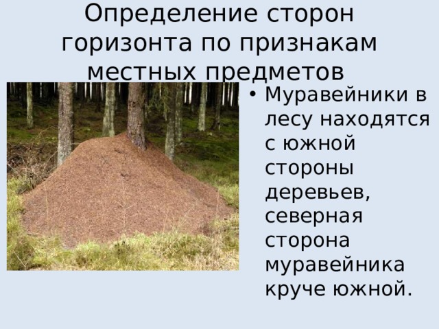 Определение сторон горизонта по признакам местных предметов Муравейники в лесу находятся с южной стороны деревьев, северная сторона муравейника круче южной. 