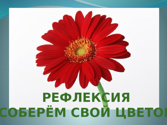 Рефлексия  Соберём свой цветок Рефлексия  Соберём свой цветок 