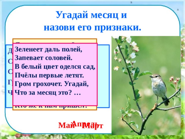 Угадай месяц и  назови его признаки. Яростно река ревёт И разламывает лёд. В домик свой скворец  вернулся, А в лесу медведь  проснулся. В небе жаворонка трель. Кто же к нам пришёл? Зеленеет даль полей, Запевает соловей. В белый цвет оделся сад, Пчёлы первые летят. Гром грохочет. Угадай, Что за месяц это? …  Дует тёплый южный ветер, Солнышко всё ярче светит, Снег худеет, мякнет, тает, Грач горластый прилетает. Что за месяц? Кто узнает? Апрель Май Март 