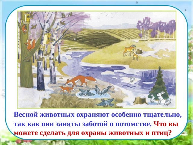  Весной животных охраняют особенно тщательно, так как они заняты заботой о потомстве. Что вы можете сделать для охраны животных и птиц? 