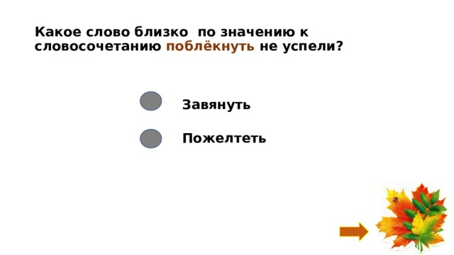 Какое слово близко по значению к словосочетанию поблёкнуть не успели? Завянуть Пожелтеть 