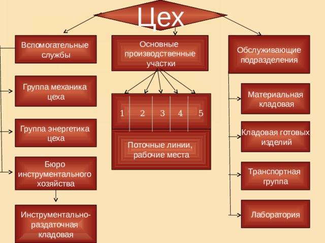 Цех Обслуживающие Вспомогательные Основные подразделения службы производственные  участки Группа механика цеха Материальная  кладовая 4 5 1 2 3 Группа энергетика цеха Кладовая готовых  изделий Поточные линии, рабочие места Бюро инструментального хозяйства Транспортная группа Лаборатория Инструментально- раздаточная кладовая 