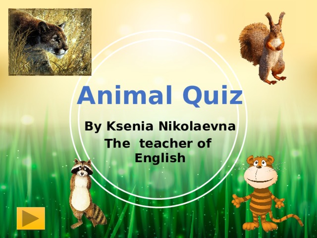 Animal Quiz   By Ksenia Nikolaevna The teacher of English 
