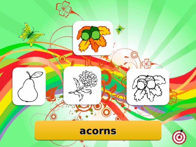 acorns 