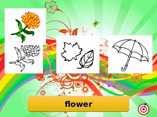 flower 