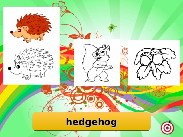 hedgehog 
