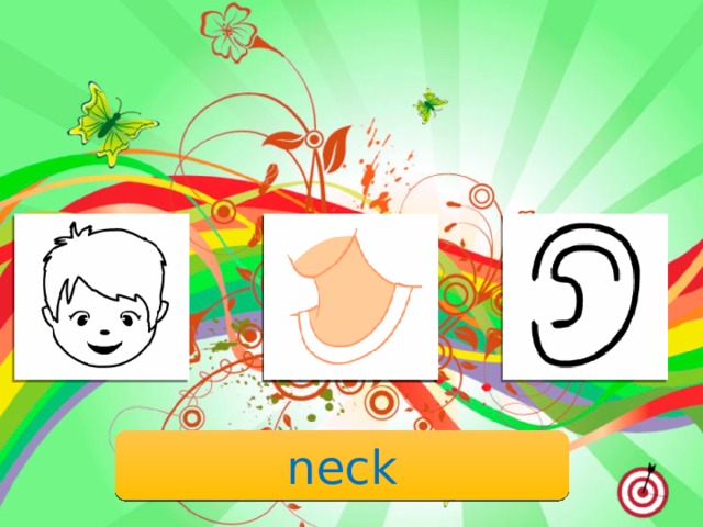 neck 