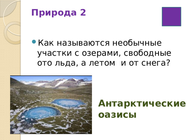 Природа 2   Как называются необычные участки с озерами, свободные ото льда, а летом и от снега? Антарктические оазисы 