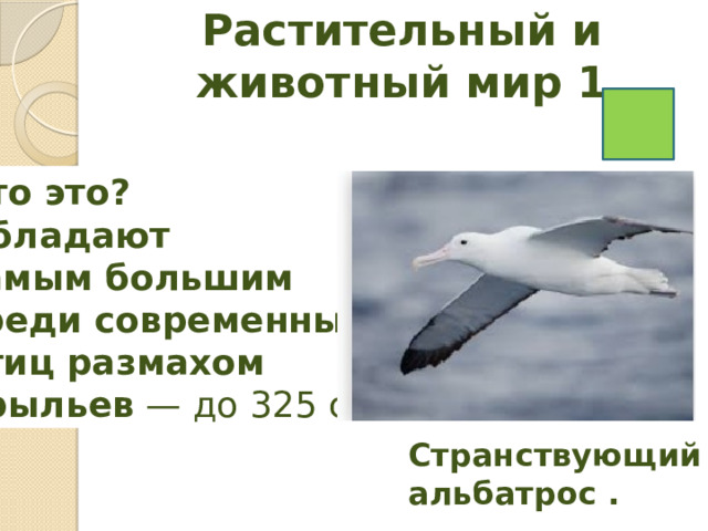 Растительный и животный мир 1   Кто это?   Обладают самым большим среди современных птиц размахом крыльев — до 325 см Странствующий альбатрос . 