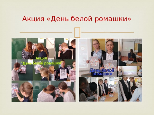 Акция «День белой ромашки» 