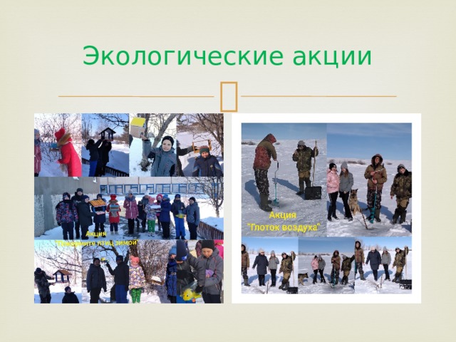 Экологические акции 