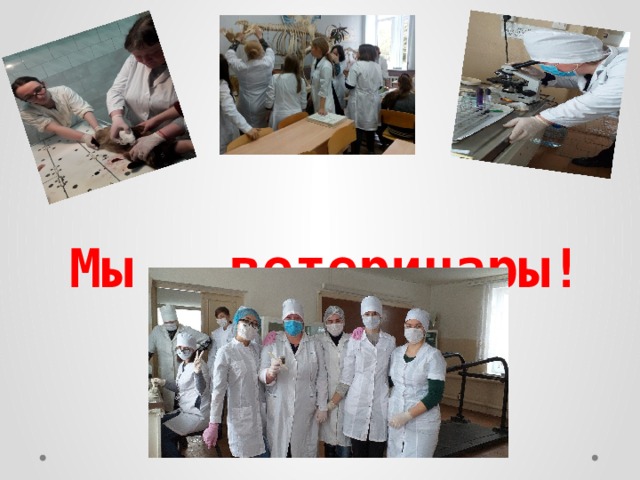    Мы – ветеринары!    
