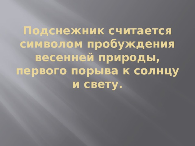 Подснежник считается символом пробуждения весенней природы, первого порыва к солнцу и свету.      