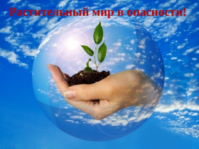  Растительный мир в опасности! 