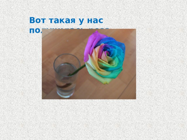 Вот такая у нас получилась роза 