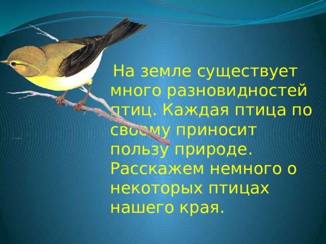  На земле существует много разновидностей птиц. Каждая птица по своему приносит пользу природе. Расскажем немного о некоторых птицах нашего края. 