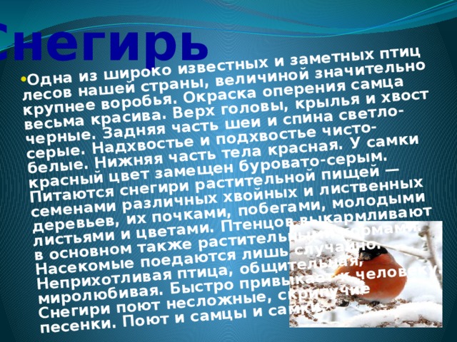 Одна из широко известных и заметных птиц лесов нашей страны, величиной значительно крупнее воробья. Окраска оперения самца весьма красива. Верх головы, крылья и хвост черные. Задняя часть шеи и спина светло-серые. Надхвостье и подхвостье чисто-белые. Нижняя часть тела красная. У самки красный цвет замещен буровато-серым. Питаются снегири растительной пищей — семенами различных хвойных и лиственных деревьев, их почками, побегами, молодыми листьями и цветами. Птенцов выкармливают в основном также растительными кормами. Насекомые поедаются лишь случайно. Неприхотливая птица, общительная, миролюбивая. Быстро привыкает к человеку. Снегири поют несложные, скрипучие песенки. Поют и самцы и самки. Снегирь 