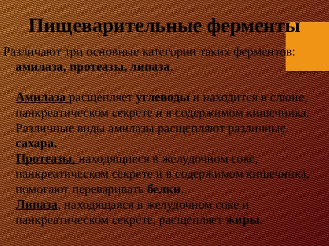 Пищеварительные ферменты Различают три основные категории таких ферментов: амилаза, протеазы, липаза .   Амилаза расщепляет углеводы и находится в слюне, панкреатическом секрете и в содержимом кишечника. Различные виды амилазы расщепляют различные сахара.  Протеазы , находящиеся в желудочном соке, панкреатическом секрете и в содержимом кишечника, помогают переваривать белки .  Липаза , находящаяся в желудочном соке и панкреатическом секрете, расщепляет жиры . 