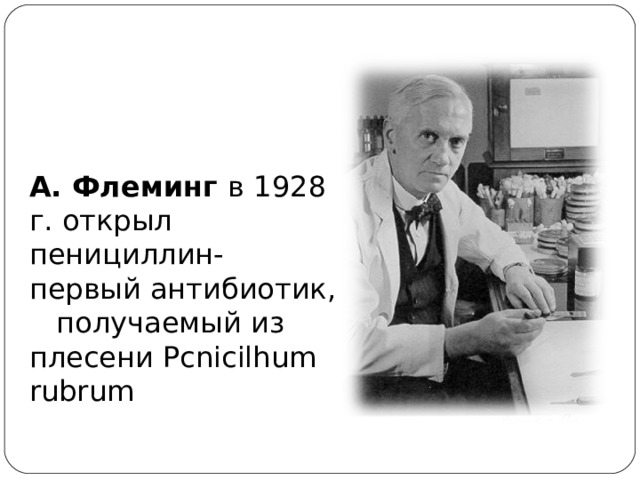 А. Флеминг в 1928 г. открыл пенициллин- первый антибиотик,   получаемый из плесени Pcnicilhum rubrum   