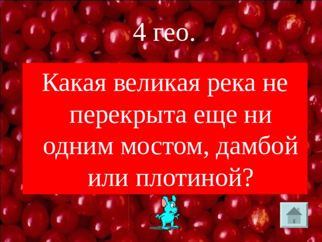  4 гео. Какая великая река не перекрыта еще ни одним мостом, дамбой или плотиной? 
