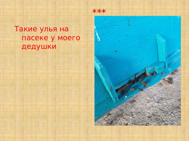 ***            Такие улья на пасеке у моего дедушки 