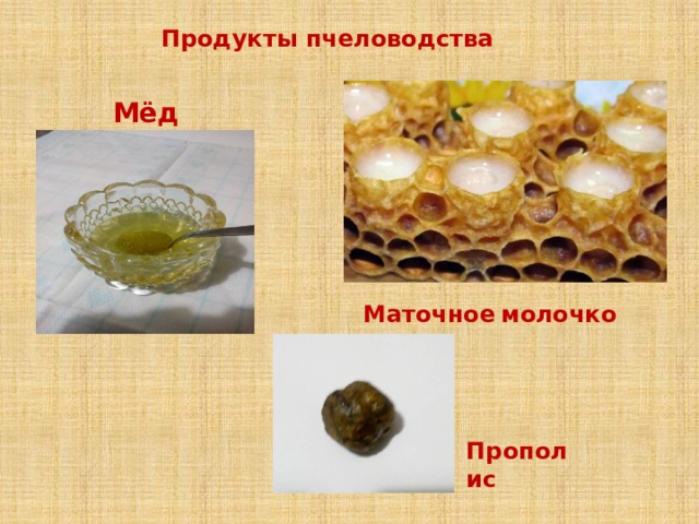 Продукты  пчеловодства            Мёд Маточное  молочко Прополис 
