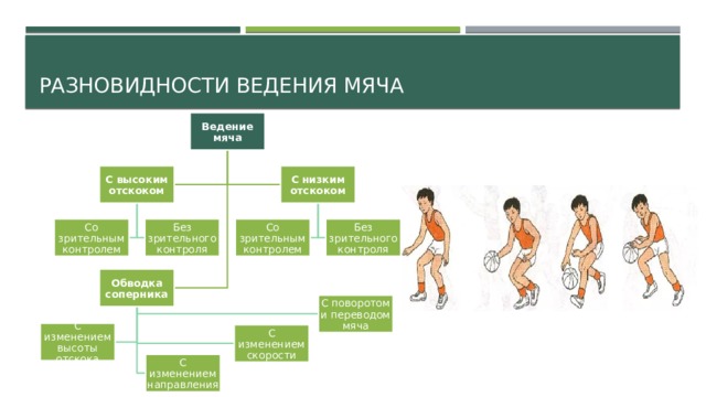Разновидности ведения мяча Ведение мяча С высоким отскоком С низким отскоком Без зрительного контроля Со зрительным контролем Без зрительного контроля Со зрительным контролем Обводка соперника С поворотом и переводом мяча С изменением высоты отскока С изменением скорости С изменением направления 