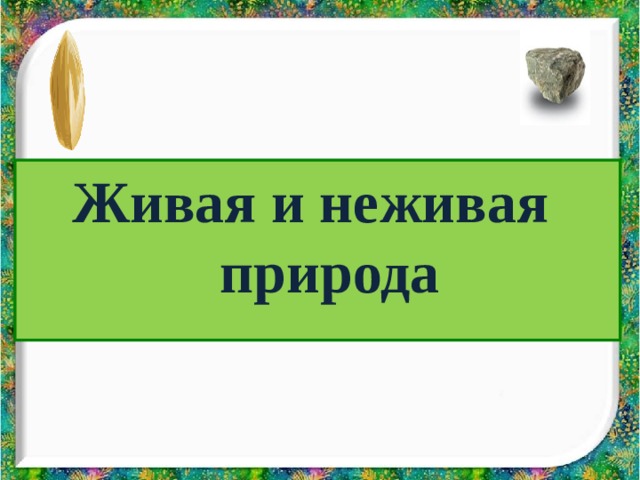 Живая и неживая  природа 