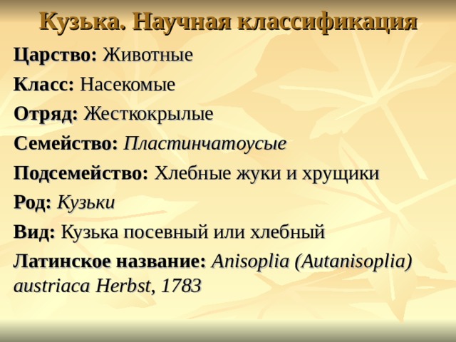 Кузька. Научная классификация   Царство: Животные Класс: Насекомые Отряд: Жесткокрылые Семейство:  Пластинчатоусые Подсемейство: Хлебные жуки и хрущики Род:  Кузьки Вид: Кузька посевный или хлебный Латинское название: Anisoplia (Autanisoplia) austriaca  Herbst , 1783  