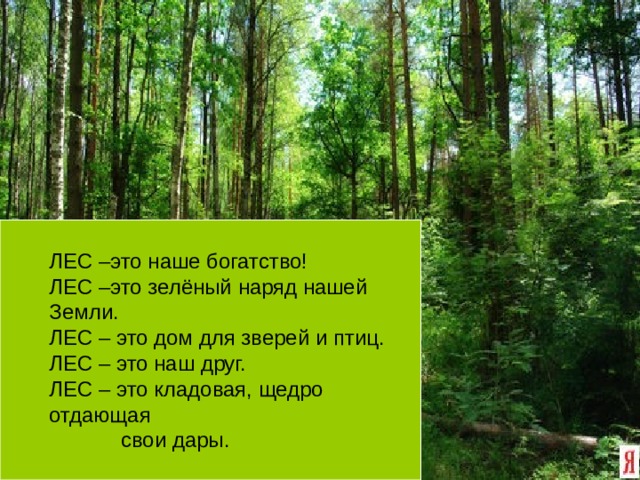 ЛЕС –это наше богатство! ЛЕС –это зелёный наряд нашей Земли. ЛЕС – это дом для зверей и птиц. ЛЕС – это наш друг. ЛЕС – это кладовая, щедро  отдающая  свои дары. 