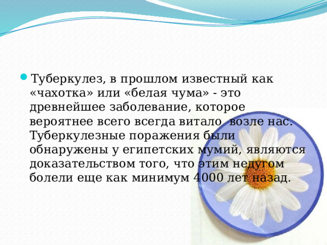 Туберкулез, в прошлом известный как «чахотка» или «белая чума» - это древнейшее заболевание, которое вероятнее всего всегда витало возле нас. Туберкулезные поражения были обнаружены у египетских мумий, являются доказательством того, что этим недугом болели еще как минимум 4000 лет назад. 