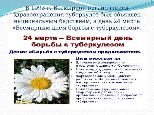 В 1993 г. Всемирной организацией здравоохранения туберкулез был объявлен национальным бедствием, а день 24 марта «Всемирным днем борьбы с туберкулезом».   