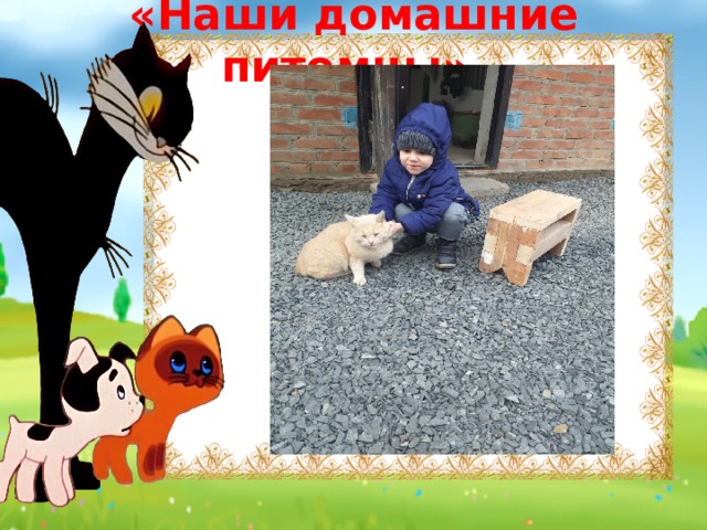 «Наши домашние питомцы». 