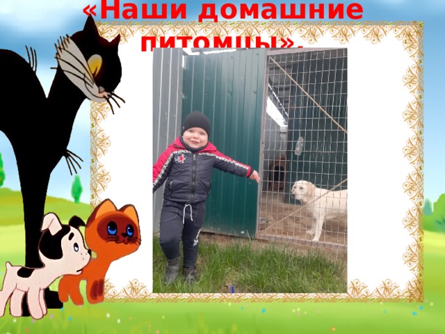 «Наши домашние питомцы». 