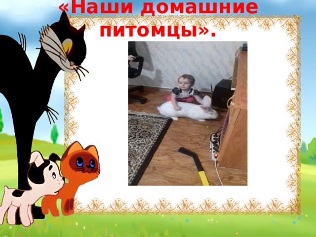 «Наши домашние питомцы». 
