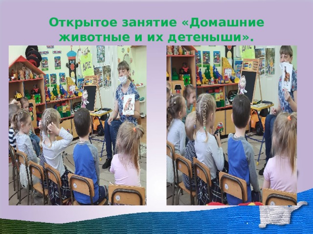 Открытое занятие «Домашние животные и их детеныши». 