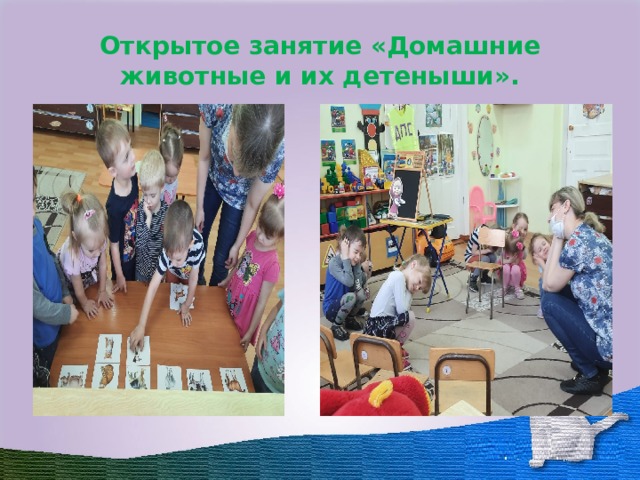 Открытое занятие «Домашние животные и их детеныши». 