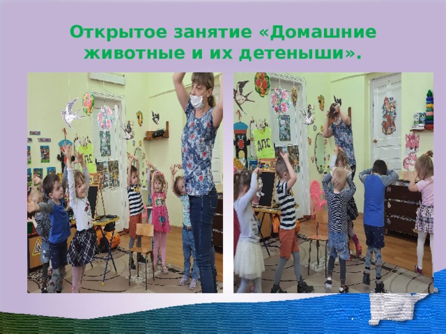 Открытое занятие «Домашние животные и их детеныши». 