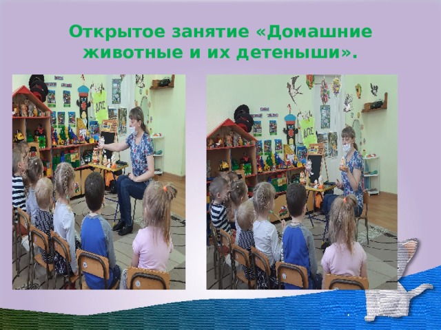 Открытое занятие «Домашние животные и их детеныши». 