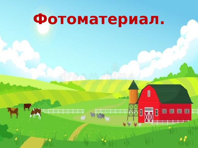 Фотоматериал. 