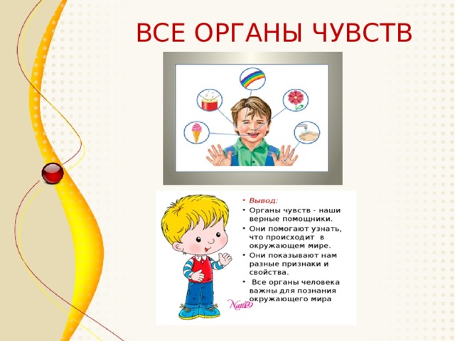 ВСЕ ОРГАНЫ ЧУВСТВ 