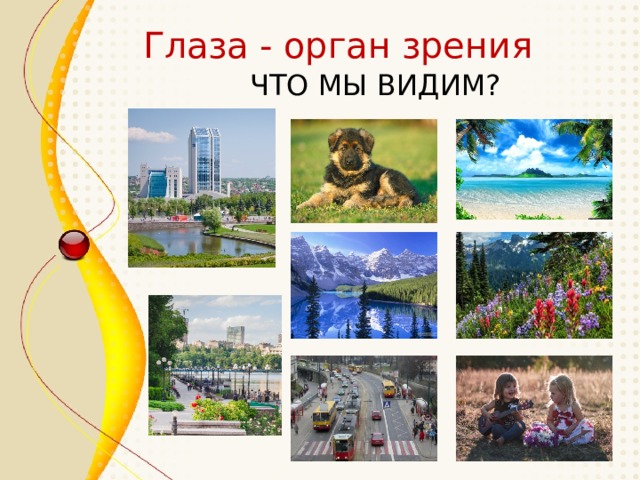 Глаза - орган зрения ЧТО МЫ ВИДИМ? 
