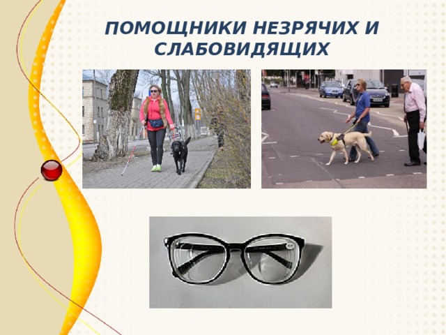 ПОМОЩНИКИ НЕЗРЯЧИХ И СЛАБОВИДЯЩИХ 