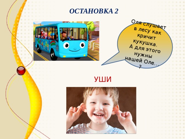 Оля слушает в лесу как кричит кукушка.  А для этого нужны нашей Оле… ? ОСТАНОВКА 2 УШИ 