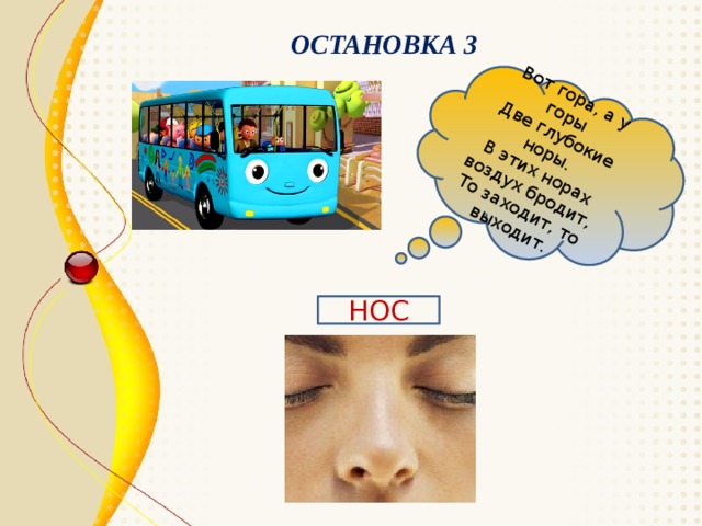Вот гора, а у горы Две глубокие норы. В этих норах воздух бродит, То заходит, то выходит. ОСТАНОВКА 3 НОС 