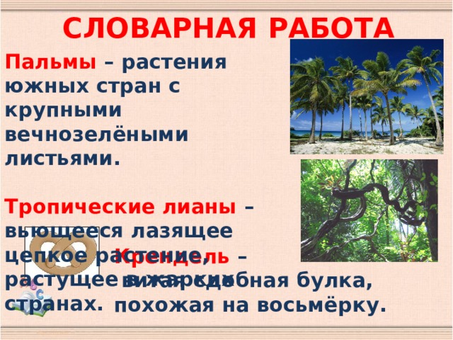 СЛОВАРНАЯ РАБОТА Пальмы – растения южных стран с крупными вечнозелёными листьями.  Тропические лианы – вьющееся лазящее цепкое растение, растущее в жарких странах. Крендель –  витая сдобная булка, похожая на восьмёрку. 