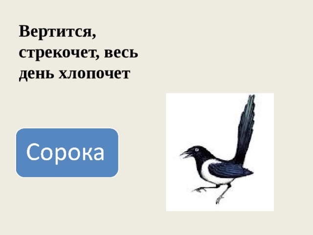 Вертится, стрекочет, весь день хлопочет 